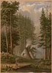 The Forest Road Summer by Capt. Hardy June 2nd, 1863.
