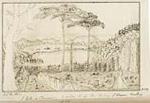 A Lake and Clearance 2 miles north of the valley, St. Etienne, Malbay August 1819