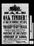 Poster advertising sale of timber on Indian Reserve - IT 241 1 December 1861