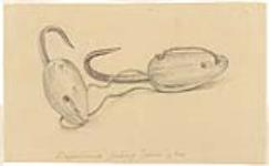 [Inuit Fishing Spoons of Bone]. Original title: Esquimaux Fishing Spoons of Bone [between 1861-1862].