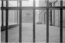 Looking into exercise yard from cell-block, Lethbridge Provincial Jail/Cour d'exercice vue du bloc-cellulaire de la prison de Lethbridge 1971