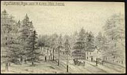 A Country Road near Halifax, Nova Scotia November 22, 1889