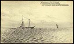 Schooners cod fishing on the Great Bank of Newfoundland April 29, 1894