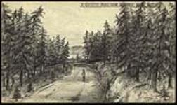A Country Road near Halifax, Nova Scotia May 2, 1894