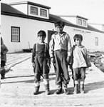 Trois jeunes garçons inuits posant debout devant un magasin de la Compagnie de la Baie d'Hudson [document iconographique] : [David Aglukark père (à gauche) vient d'Arviat, Celestino Makpah (au centre) et Noah Makayak (à droite) viennent de Rankin Inlet. Noah Makayak est le jeune frère d'Aglukark] 1951 ?.