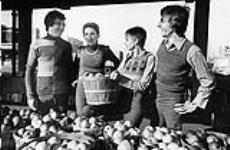 Four models in fall fashions posed in a farmer's market 1972