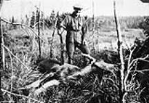 Hunter with a moose [ca. 1927-1929].