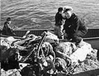 R.C.M.P. officer surveying Inuit catch of caribou 1948