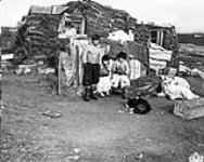Inuit children with dogs in front of a sod hut 1949