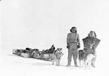 Inuit couple with two dogs and komatik May 1916.