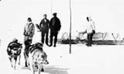 Inuit with qamutiik and sled dogs [between 1918 and 1920].