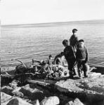 Three Inuit boys with a boat load of caribou being brought into Chesterfield Inlet (Igluligaarjuk) 1948