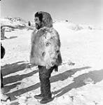 Inuk man in a caribou parka at Pelly Bay (Arvilikjuaq) 1949