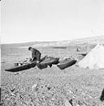 Inuk man from the Belcher Islands (Sanikiluaq) loading supplies on kayaks 1949