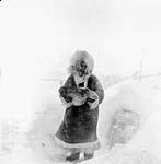 Inuk woman standing outside an igloo during a snowstorm 1950