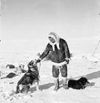 Inuk man and dog team 1950
