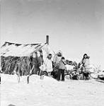 Inuit family outside a tupiq (skin tent) in Bathurst Inlet (Qingauq) 1950