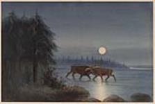 Two Bull Moose In Combat By Moonlight / Combat au clair de lune de deux orignaux mâles ca. 1860