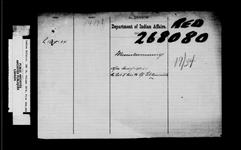 MANITOWANING AGENCY - APPLICATION OF JAMES LESSOR JR. TO PURCHASE LOT 8, CON. "B" TEHKUMMAH TOWNSHIP 1904