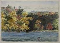 Autumn Landscape, Trees along a Riverbank ca. 1863