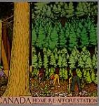 Home Re-Afforestation 1926-1934.
