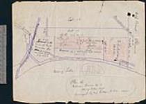 [Agency Reserve no. 1]. Plan of Indian Reserve no. 1 Rainy Lake Ont. [cartographic material] / surveyd by D.J. Gillon, D.L.S 1908