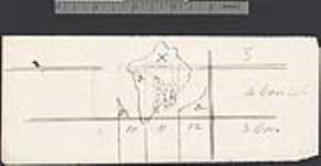 [Sketch showing the position of Big Island, Rice Lake] [cartographic material] [1865]