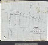 [Tyendinaga Reserve no. 38]. Plan of part of block "W", town of Deseronto [cartographic material] [1897]