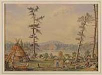 Indian camp, Northern Ontario 1896.