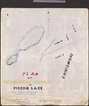 Plan of Fothergill Island in Pigeon Lake. Fenelon Falls [cartographic material] / James Dickson P.L.S 1871