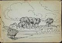Paysage d'arbres, de meules de foin et de bâtiments, Flandre française 1917