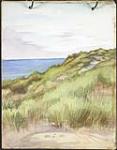 Vue de la mer depuis les dunes, Flandre française [entre le 19 juin et le 24 juillet 1917].
