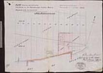 [Tyendinaga Reserve no. 38]. Plan showing approximately the lands in the Tyendinaga Indian Reserve proposed to be surrendered [cartographic material] [1891]