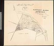 Tiffany block, Oneida [cartographic material] / by Edmd De Cew, P.L. Surveyor 1844.