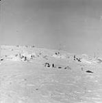 [Inuit encampment] Original title: Eskimo encampment 1953