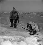 Inuk clearing ice out of a hole for seal hunting while another Inuk watches January, 1946.