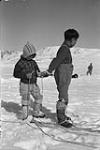 Inuit boys untangle and retie dog traces October, 1952.
