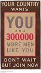 Your Country Wants You and 300,000 More Men Like You, Don't Wait but Join Now 1914-1918