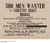 500 Men Wanted for Forestry Draft 1914-1918