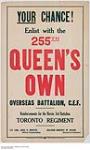 Enlist with the 255th Queen's Own 1914-1918