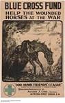 Blue Cross Fund to Help Horses in War Time 1914-1918