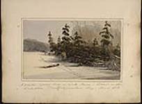 A winter-spring scene on Lake Huron - Cedars on the lake shore, Penetanguishene Bay 17 March 1838