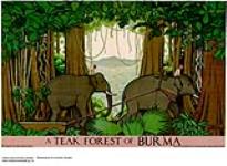 A Teak Forest of Burma 1926-1934
