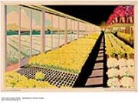 [untitled] : greenhouse 1926-1934