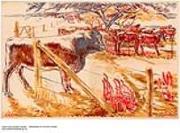 [untitled] : herd of cows with bull 1926-1934.