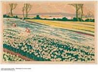 [untitled] : Empire flower fields 1926-1934