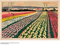 [untitled] : Empire tulip field 1926-1934