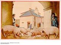 [untitled] : pig farming in the Empire 1926-1934