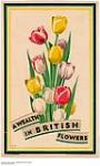 A Wealth in British Flowers 1926-1934