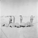 [Frobisher Bay - Snow shoes and equipment lined up in snow] February 1972.